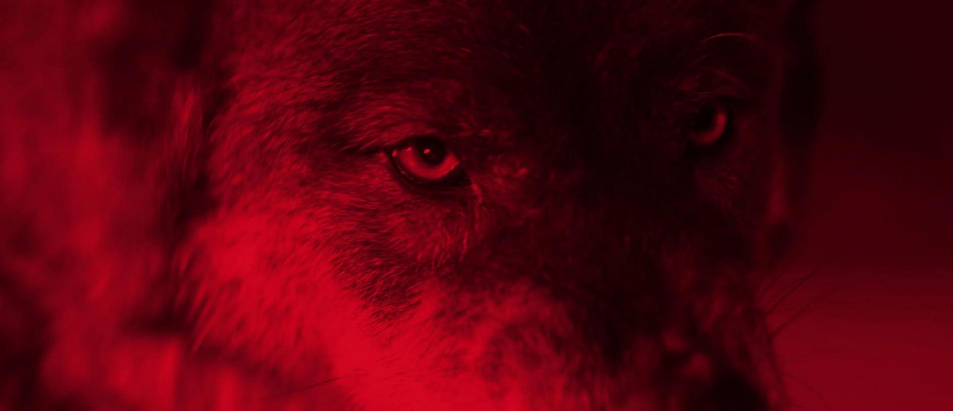 NORT HEAST FILMMAKER CRAIG CONWAY BRINGS DEBUT FEATURE FILM HOME TO MIDDLESBROUGH IN AID OF CALM SUICIDE PREVENTION